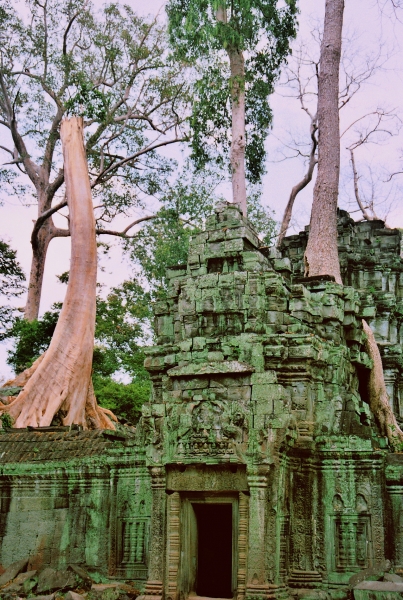 Cambodja (9)
