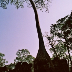 Cambodja (43)