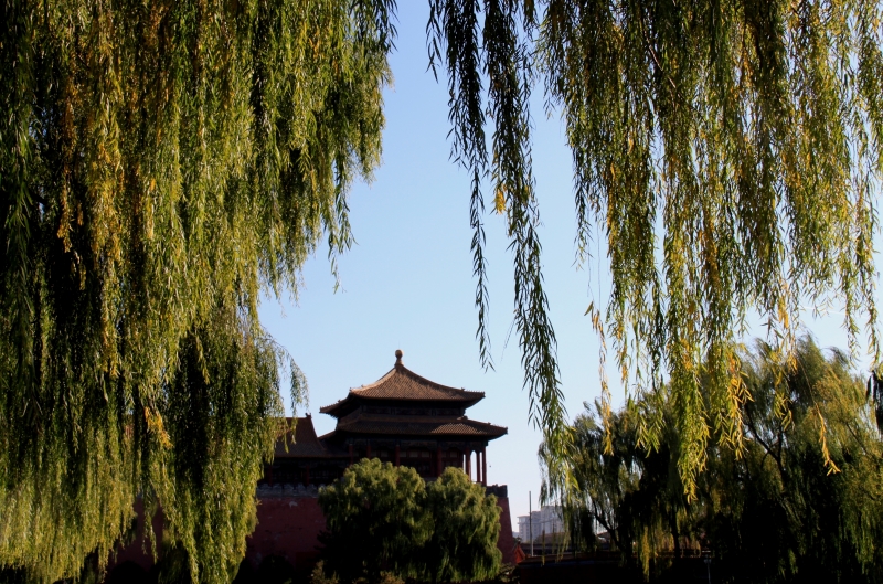 China (101)