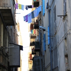 Corsica - Bastia (13a) (4)