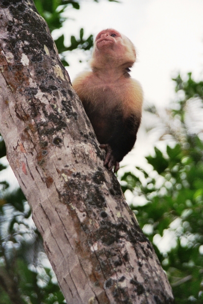 Costa Rica (15)