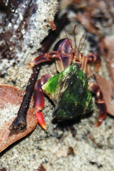 Costa Rica (20)