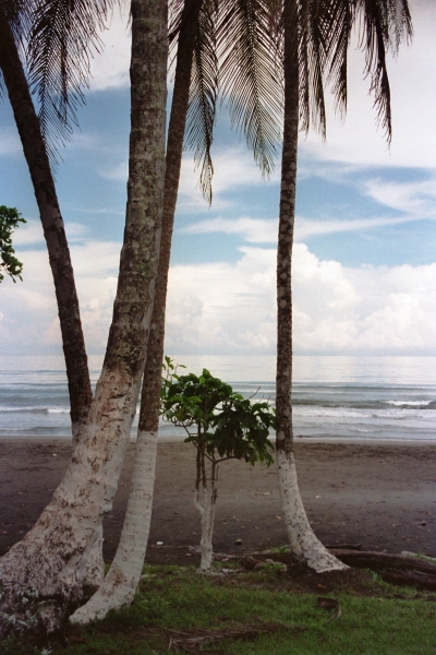 Costa Rica (55)