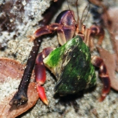 Costa Rica (20)