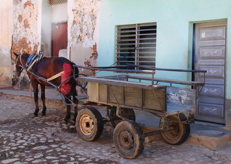 Cuba (30)