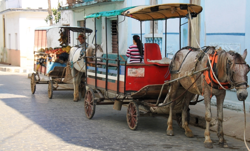 Cuba (44)