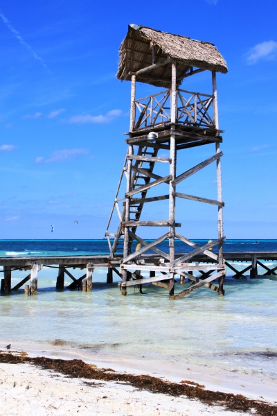 Cuba (68)