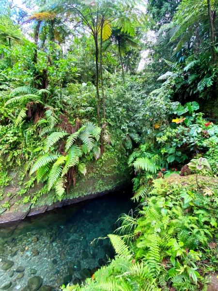 Dominica-103