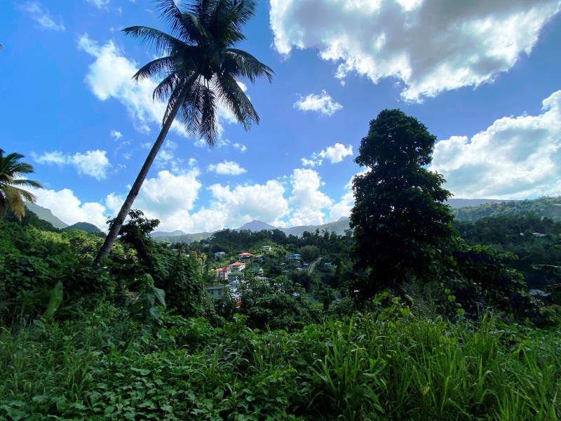 Dominica-50