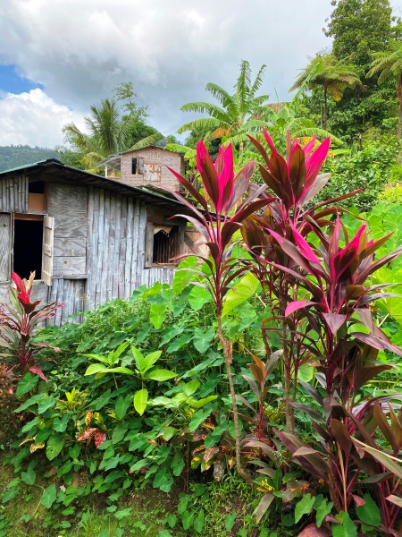 Dominica-83