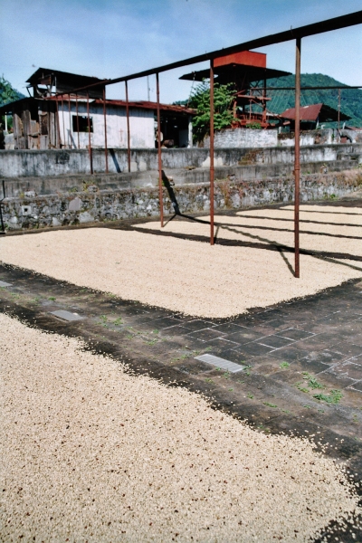 El Salvador (17)