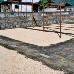 El Salvador (17)