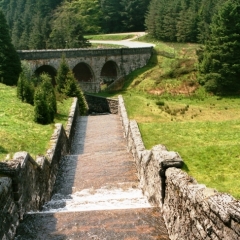 Engeland (21)