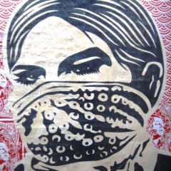 Engeland (25)