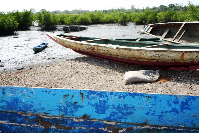 Gambia (10)