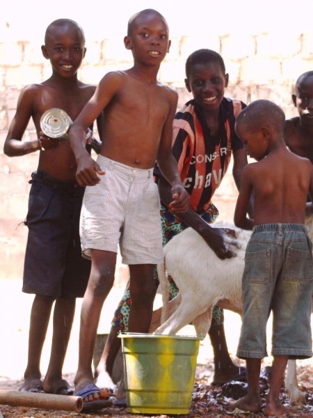 Gambia (30)