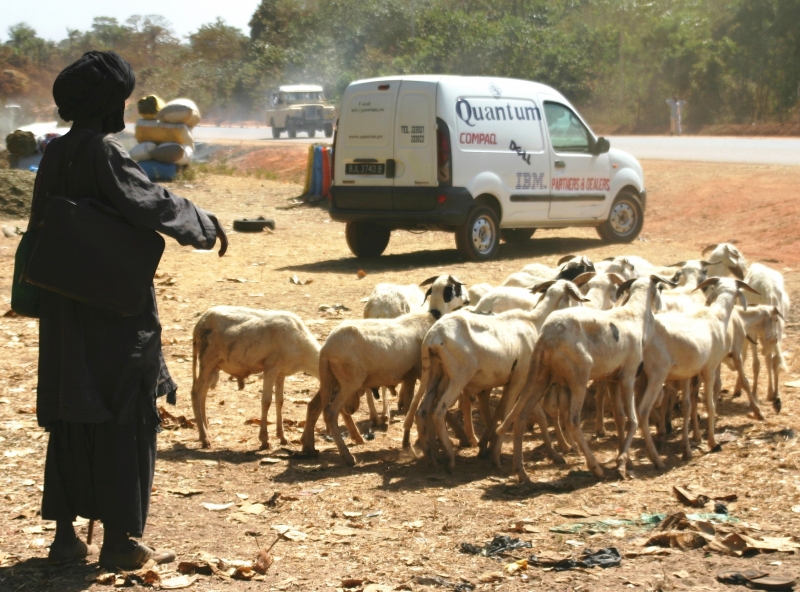Gambia (32)