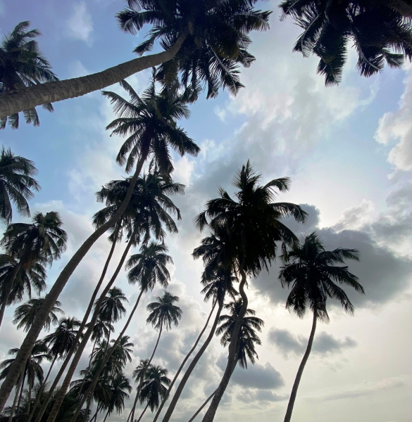 Ghana-457