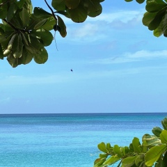 Grenada-16