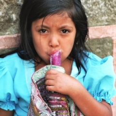Guatemala (13)
