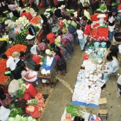 Guatemala (39)