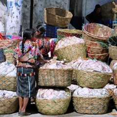 Guatemala (41)