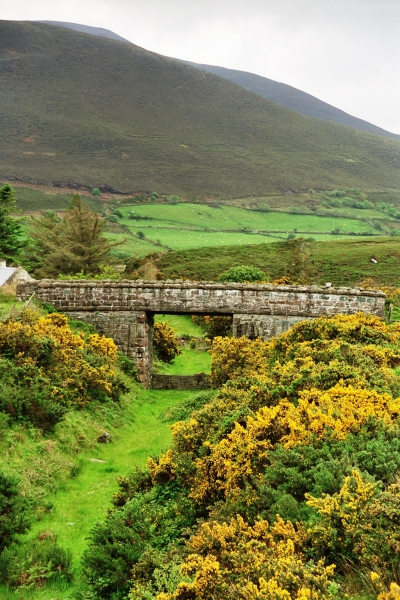 Ierland (15)