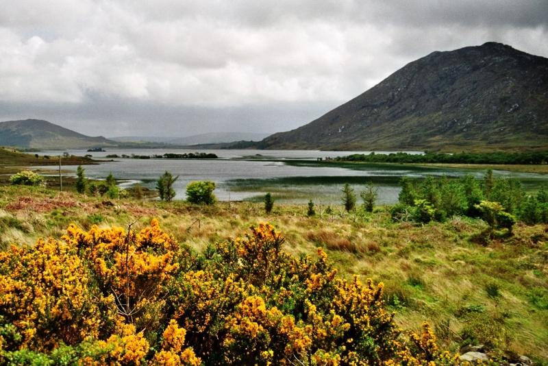 Ierland (2)