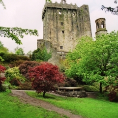 Ierland (16)