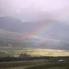 Ierland (29)