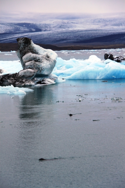 IJsland (10)