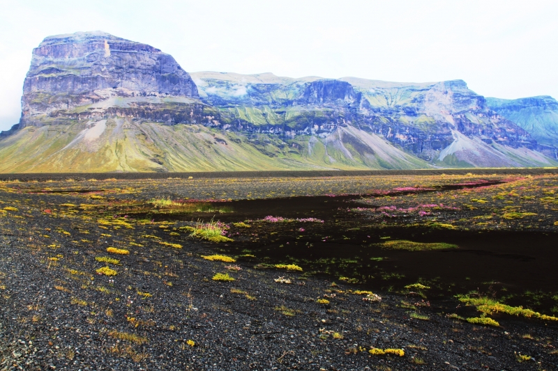 IJsland (340)