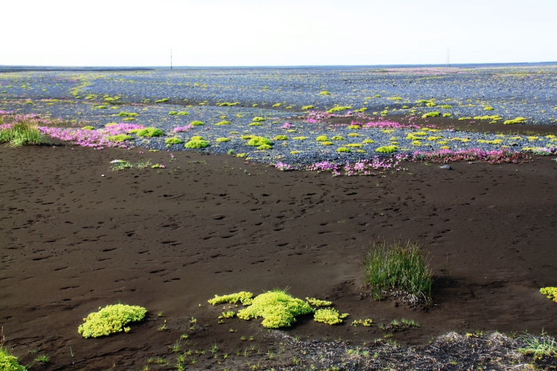 IJsland (343)