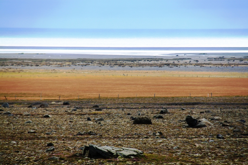 IJsland (402)