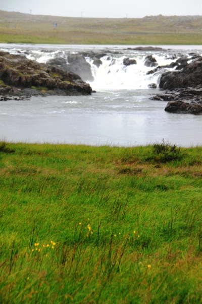 IJsland (437)