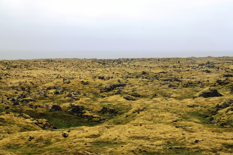 IJsland (479)