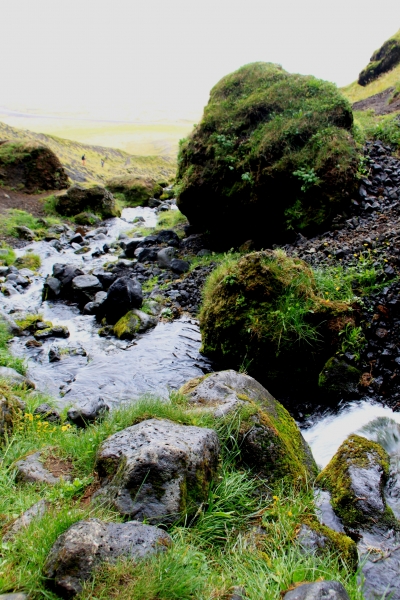 IJsland (495)