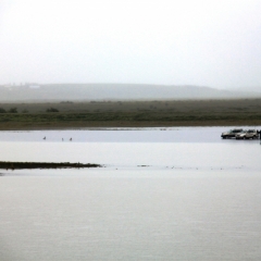 IJsland (196)