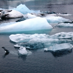 IJsland (36)