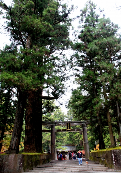 Japan (130)