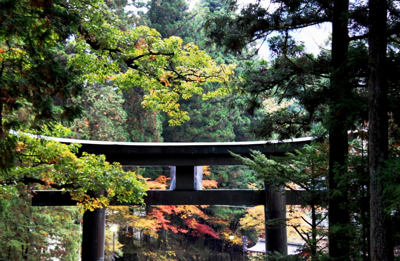 Japan (142)