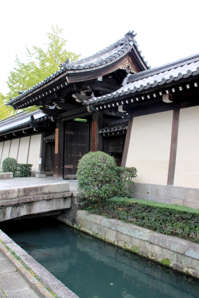 Japan (172)