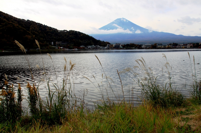 Japan (230)