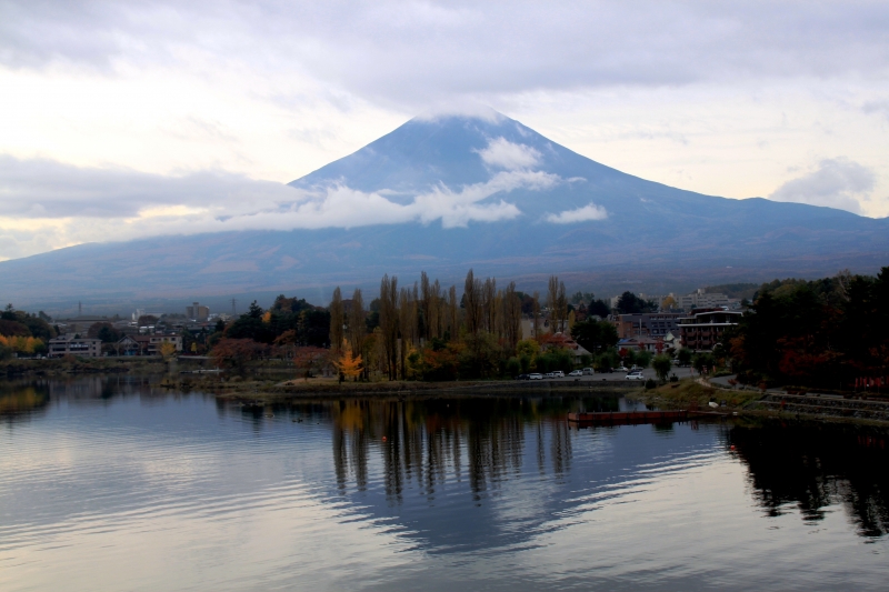 Japan (235)