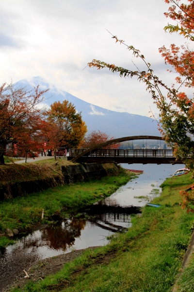 Japan (257)