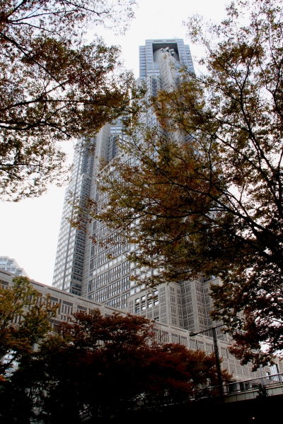 Japan (39)