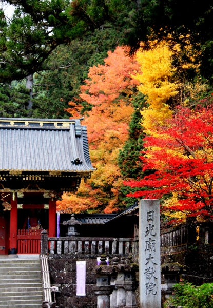 Japan (88)