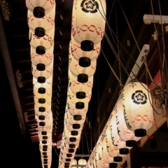 Japan (10)