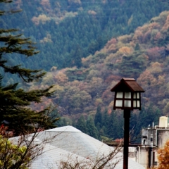 Japan (121)