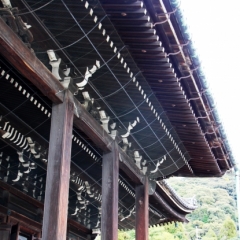 Japan (196)